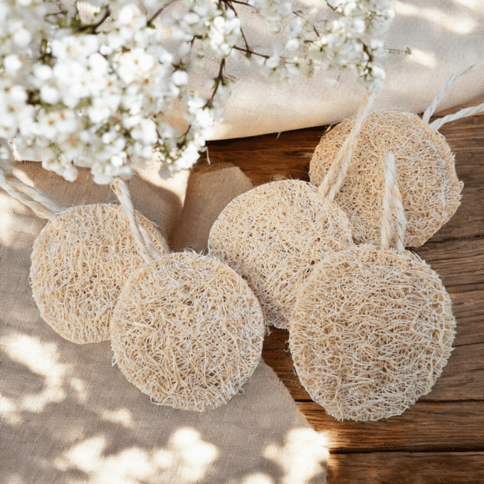 DISQUE FACIAL LOOFAH