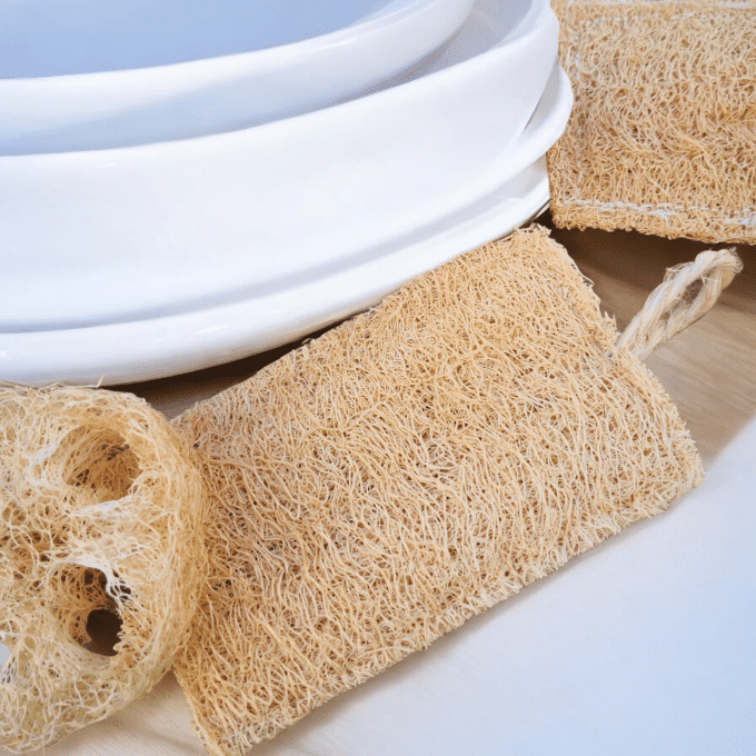 ÉPONGE LOOFAH
