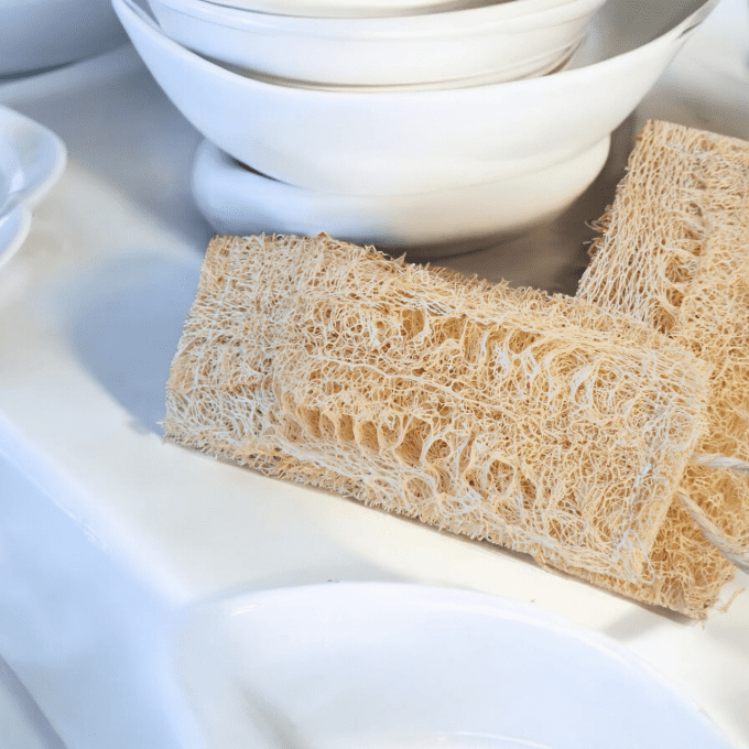 ÉPONGE LOOFAH BRUTE